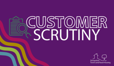 Customer Scrutiny Panel