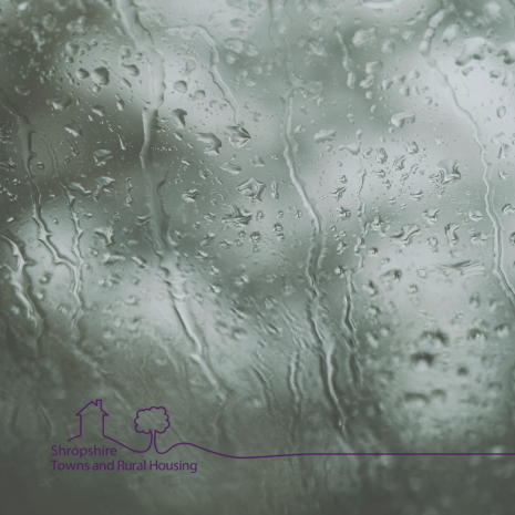 Copy of STAR FB LinkedIn and X 18